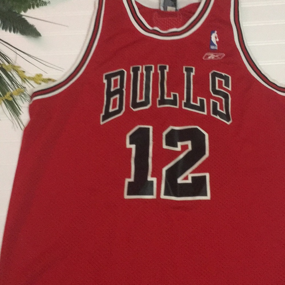 NBA athletic Reebok bulls  jersey Hinrich 12